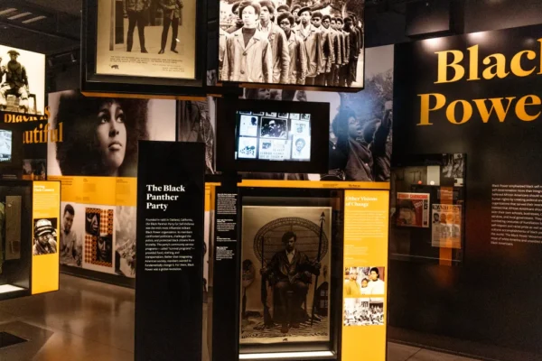 Smithsonian Bajo Fuego por Quitar Artefactos Clave Latinola.news
